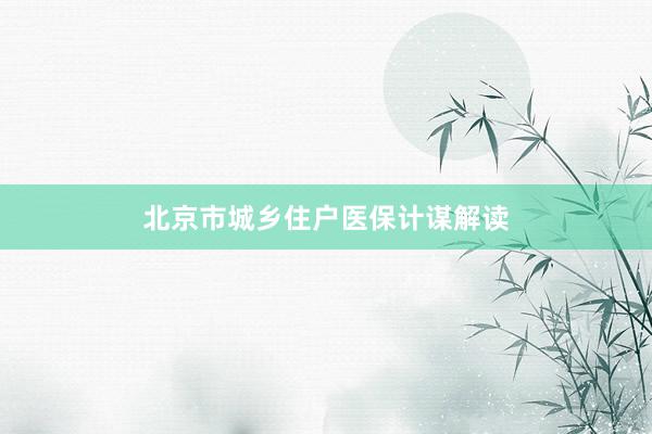 北京市城乡住户医保计谋解读